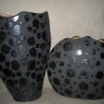 DSCN1462