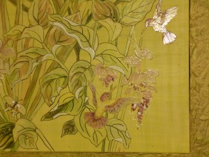 hummingbirds detail