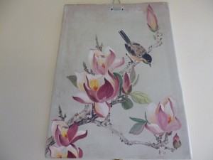 magnolia
