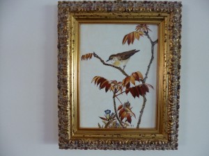 nightingale 1