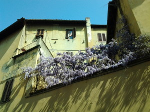 20150412_111427