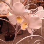 20150602_102855