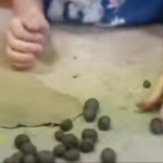 20190419_144957