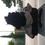 20190524_104119