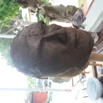 20190524_104134