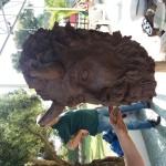 20190524_163409