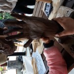20190526_104223